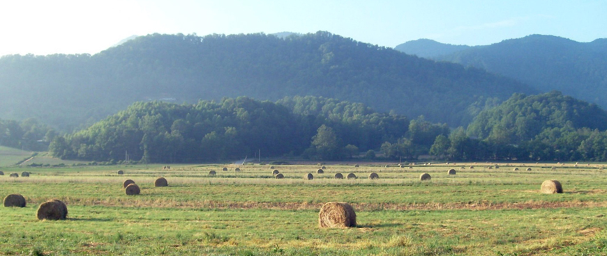 Big Sandy Mush hayfield