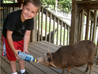 asheville farm tours