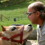 Calf-kisses