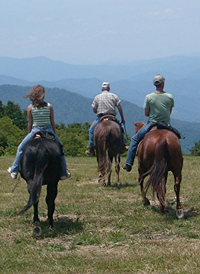 nc horseback riding vacation