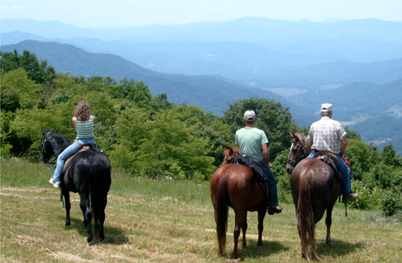 asheville trail rides