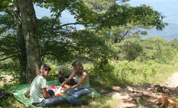 horseback riding near asheville nc