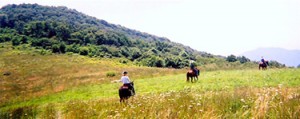 nc horseback riding vacation