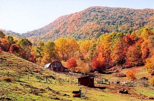 asheville mountain cabins