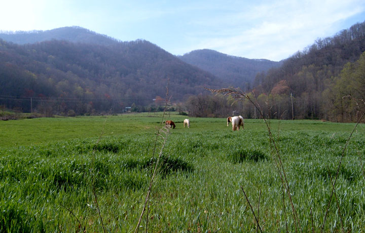 NC Hayrides