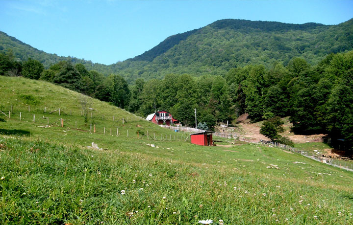 asheville farm nc